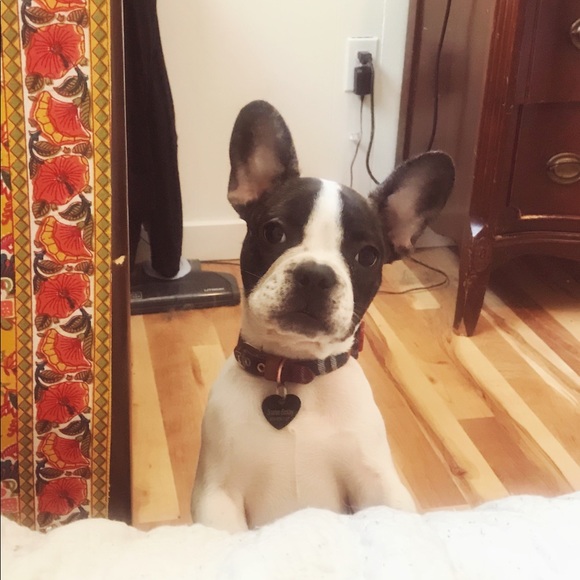 Meet your Posher, Jordan - Picture 7 of 8